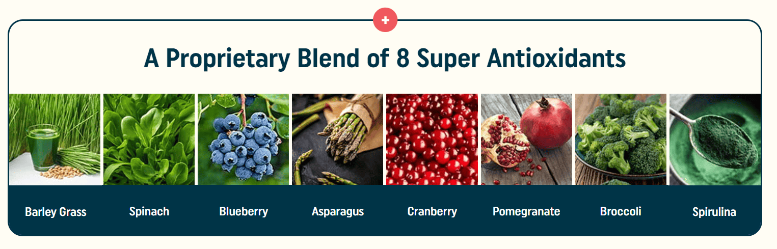 naganoleanbodytonic-Ingredients